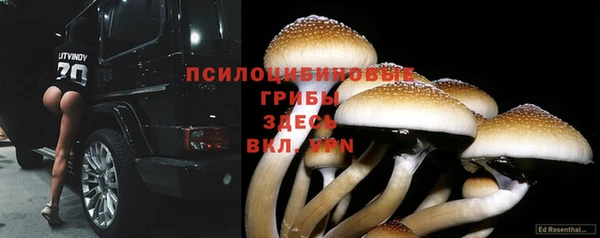 эйфоретик Алзамай
