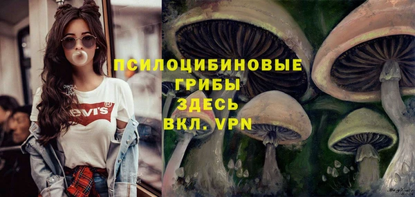 метамфетамин Алексеевка