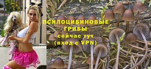 эйфоретик Алзамай