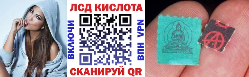 как найти наркотики  Заводоуковск  Марки NBOMe 1,5мг 